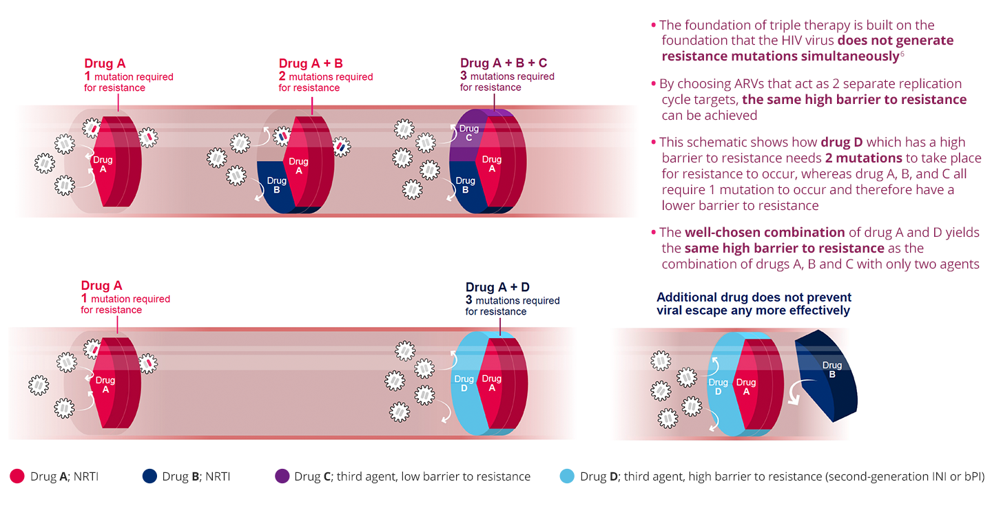 The foundation of triple therapy is built on the foundation that the HIV virus does not generate resistance mutations simultaneously. By choosing ARVs that act as 2 separate replication cycle targets, the same high barrier to resistance can be achieved. The foundation of triple therapy is built on the foundation that the HIV virus does not generate resistance mutations simultaneously. By choosing ARVs that act as 2 separate replication cycle targets, the same high barrier to resistance can be achieved.