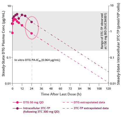 Chart showing the steady-state DTG plasma or intracellular 3TC-TP concentration-time profiles. Chart showing the steady-state DTG plasma or intracellular 3TC-TP concentration-time profiles.