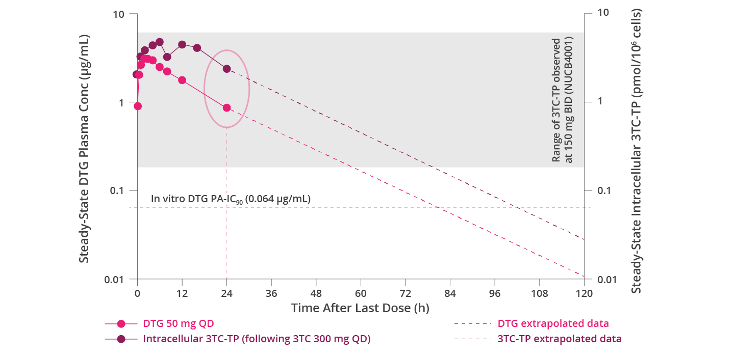 Chart showing the steady-state DTG plasma or intracellular 3TC-TP concentration-time profiles. Chart showing the steady-state DTG plasma or intracellular 3TC-TP concentration-time profiles.