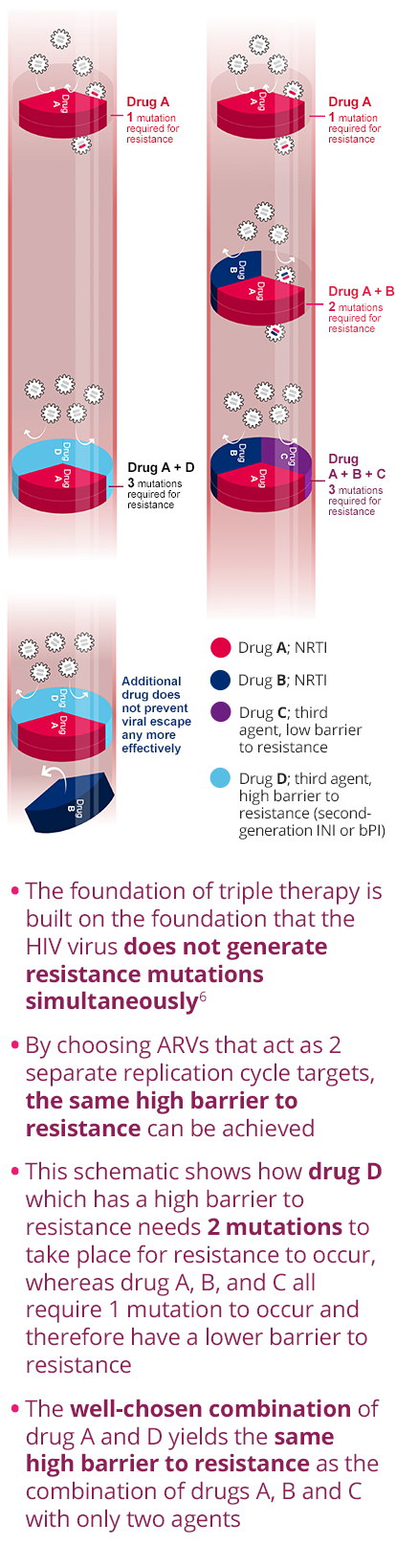 The foundation of triple therapy is built on the foundation that the HIV virus does not generate resistance mutations simultaneously. By choosing ARVs that act as 2 separate replication cycle targets, the same high barrier to resistance can be achieved. The foundation of triple therapy is built on the foundation that the HIV virus does not generate resistance mutations simultaneously. By choosing ARVs that act as 2 separate replication cycle targets, the same high barrier to resistance can be achieved.